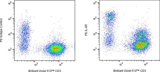 Rabbit-anti ITGB1 monoclonal antibody