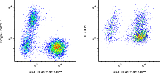 Rabbit-anti ITGB1 monoclonal antibody