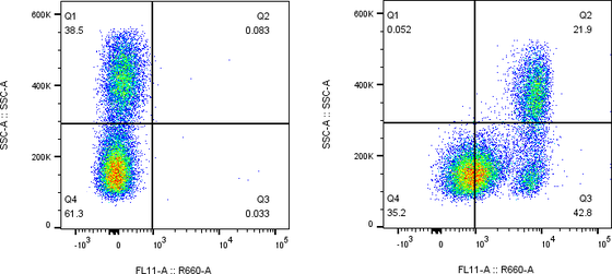 Rabbit-anti IL10RB monoclonal antibody