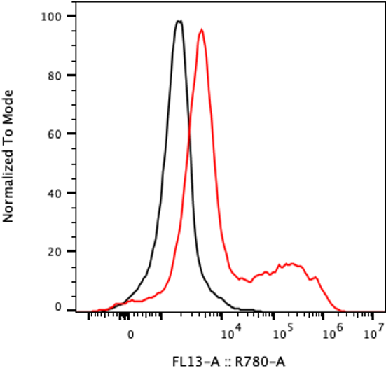 Rabbit-anti CD44 monoclonal antibody
