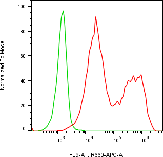 Rabbit-anti CPVL monoclonal antibody