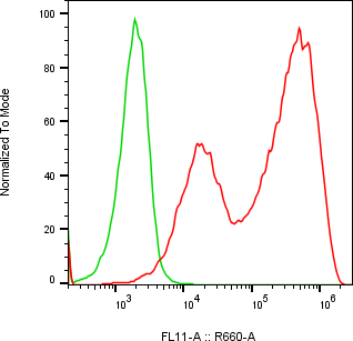 Rabbit-anti DEFA1 monoclonal antibody