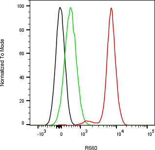 Rabbit-anti EPGN monoclonal antibody