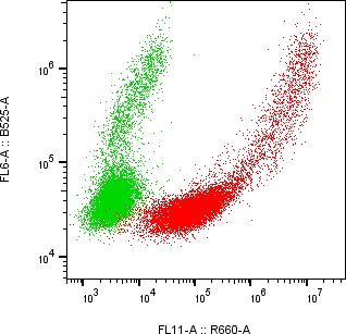 Rabbit-anti CD69 monoclonal antibody