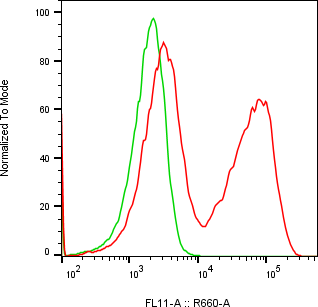 Rabbit-anti KERA monoclonal antibody