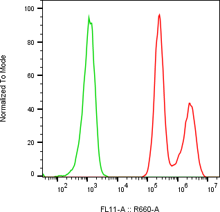 Rabbit-anti CGB1 monoclonal antibody