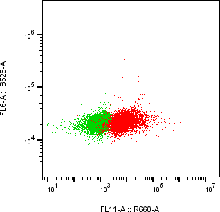 Rabbit-anti BMP10 monoclonal antibody