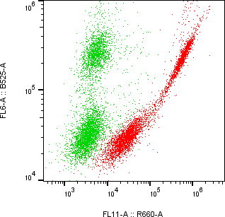 Rabbit-anti LTBR monoclonal antibody