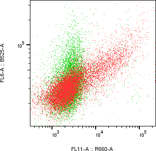 Rabbit-anti APELA monoclonal antibody