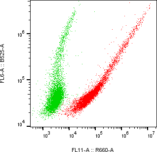 Rabbit-anti RAET1E monoclonal antibody