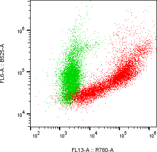 Rabbit-anti KIR2DL5A monoclonal antibody