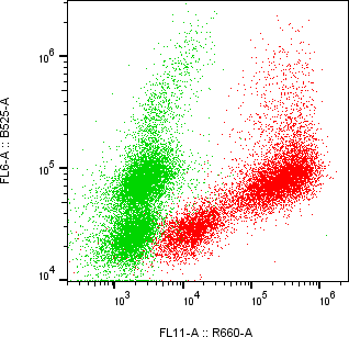 Rabbit-anti SPARC monoclonal antibody