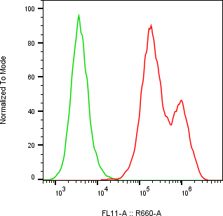 Rabbit-anti IGFBP4 monoclonal antibody