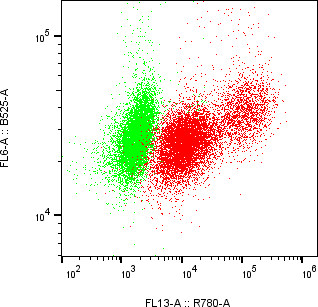 Rabbit-anti CD99 monoclonal antibody