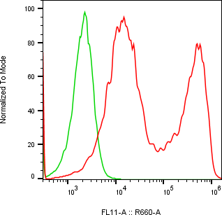 Rabbit-anti DEFA3 monoclonal antibody