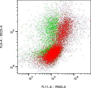 Rabbit-anti PD-1 monoclonal antibody