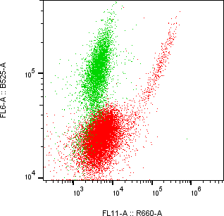 Rabbit-anti LIPF monoclonal antibody