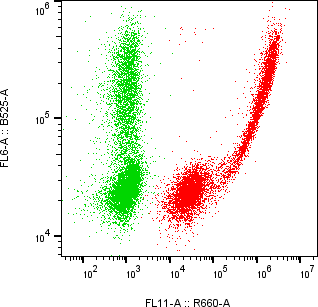 Rabbit-anti CD109 monoclonal antibody