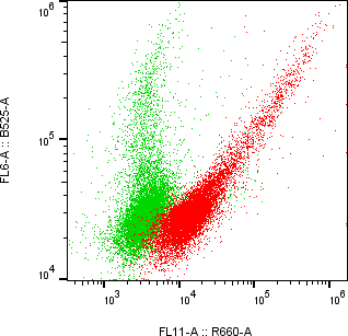 Rabbit-anti LRP10 monoclonal antibody
