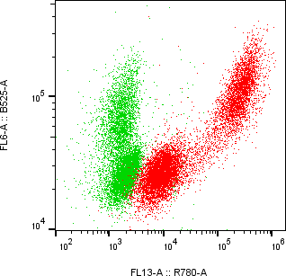 Rabbit-anti LYZ monoclonal antibody