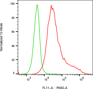 Rabbit-anti LRP10 monoclonal antibody
