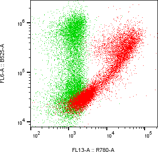 Rabbit-anti CA9 monoclonal antibody