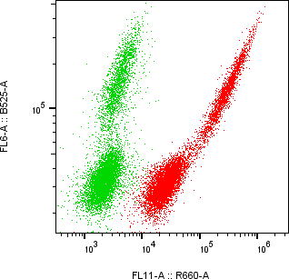Rabbit-anti ALFA monoclonal antibody