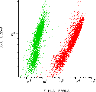 Rabbit-anti sclerostin monoclonal antibody