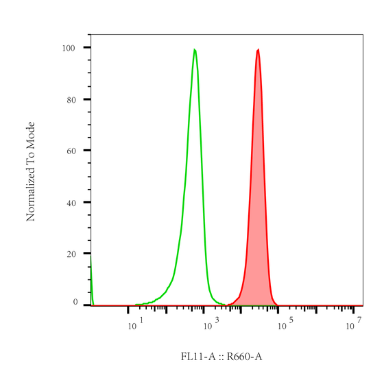 Rabbit-anti ROR2 monoclonal antibody