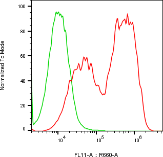 Rabbit-anti CSH2 monoclonal antibody