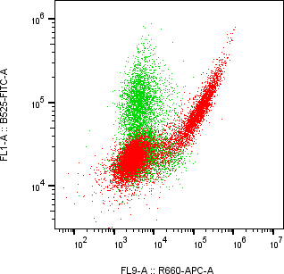 Rabbit-anti CD52 monoclonal antibody