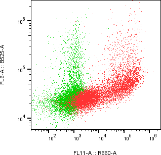 Rabbit-anti CDH17 monoclonal antibody