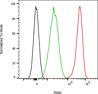 Rabbit-anti SCGB1A1 monoclonal antibody