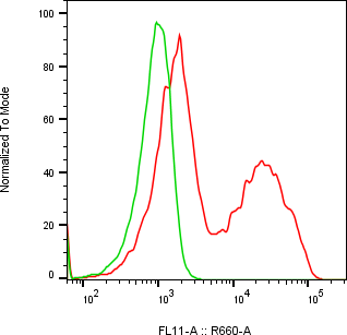 Rabbit-anti CFHR5 monoclonal antibody