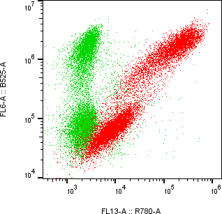 Rabbit-anti IL13 monoclonal antibody