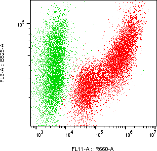 Rabbit-anti GNRH1 monoclonal antibody