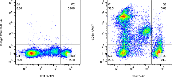 Rabbit-anti CD8A monoclonal antibody