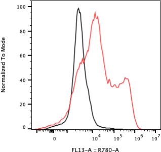 Rabbit-anti GUCA2B monoclonal antibody