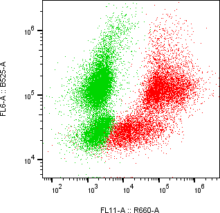 Rabbit-anti ENPP5 monoclonal antibody