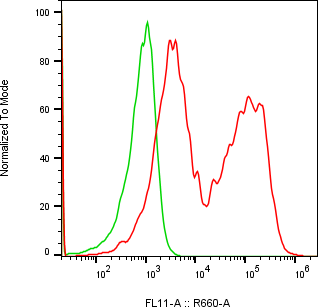 Rabbit-anti CDH17 monoclonal antibody