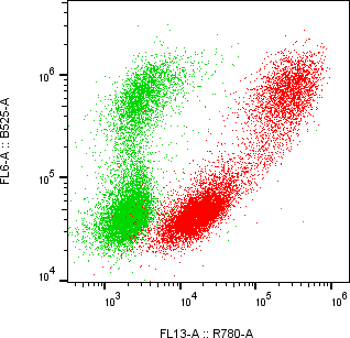 Rabbit-anti CGB7 monoclonal antibody