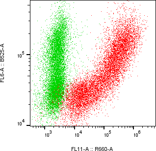 Rabbit-anti CD244 monoclonal antibody