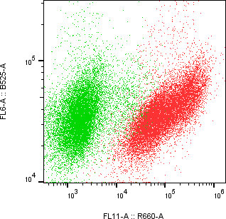 Rabbit-anti HPSE monoclonal antibody
