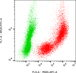 Rabbit-anti PTGDS monoclonal antibody