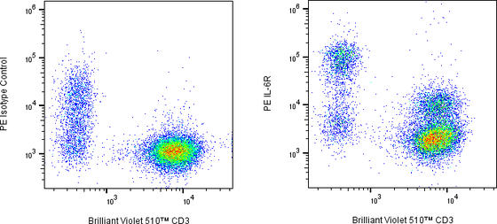 Rabbit-anti ITGB1 monoclonal antibody