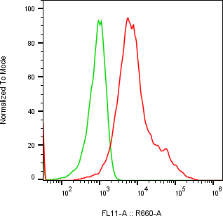 Rabbit-anti ROR2 monoclonal antibody