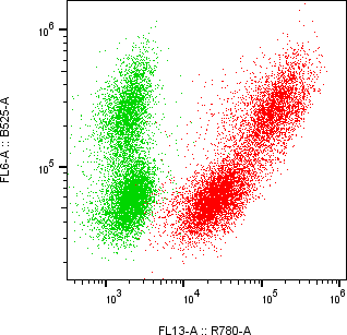 Rabbit-anti CCL7 monoclonal antibody