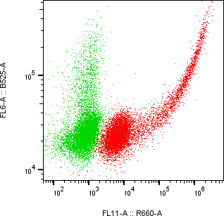 Rabbit-anti CD300LG monoclonal antibody