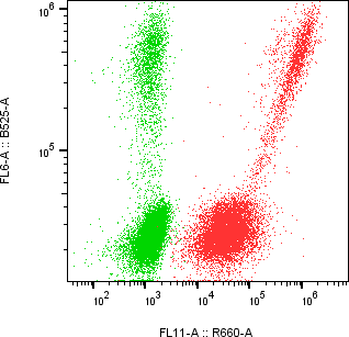 Rabbit-anti SERPING1 monoclonal antibody