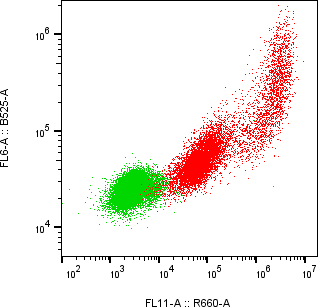 Rabbit-anti CGB2 monoclonal antibody